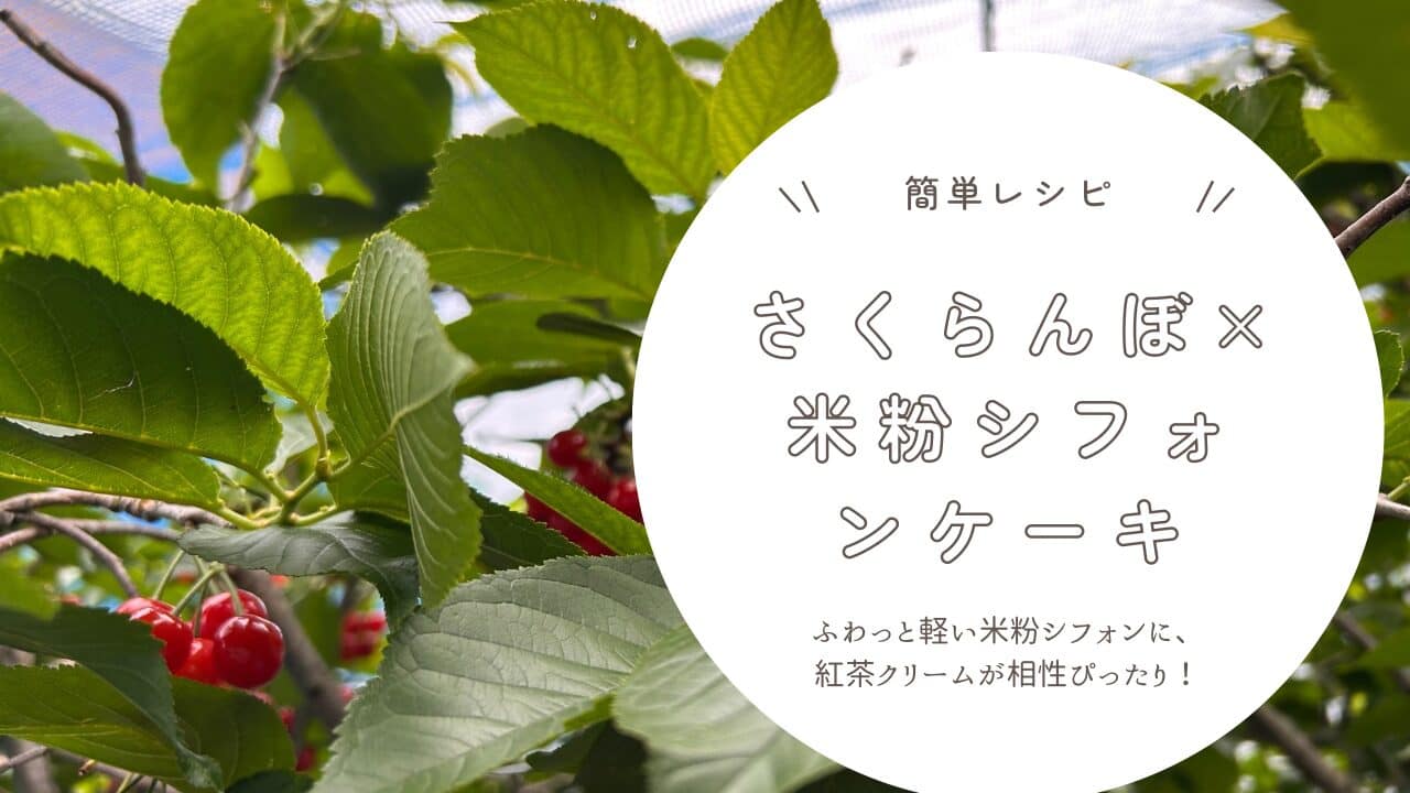【簡単レシピ】さくらんぼ×米粉シフォンケーキ